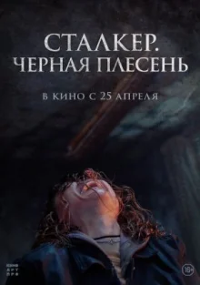Сталкер. Черная плесень